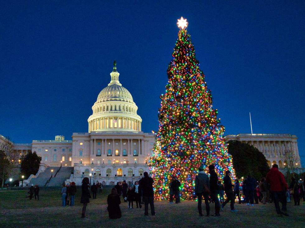 The tradition of the U.S. Capitol Christmas tree dates to 1963. Originally, a live tree was pla ...