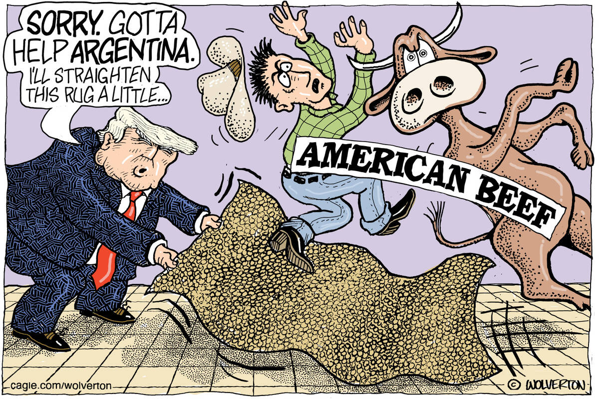 Monte Wolverton Battle Ground, WA