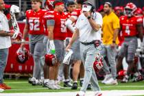 UNLV head coach Dan Mullen is a bit dismayed after another turnover against the New Mexico Lobo ...