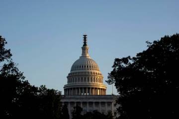 The Dome of the U.S. Capitol Building. (AP Photo/Andrew Harnik)