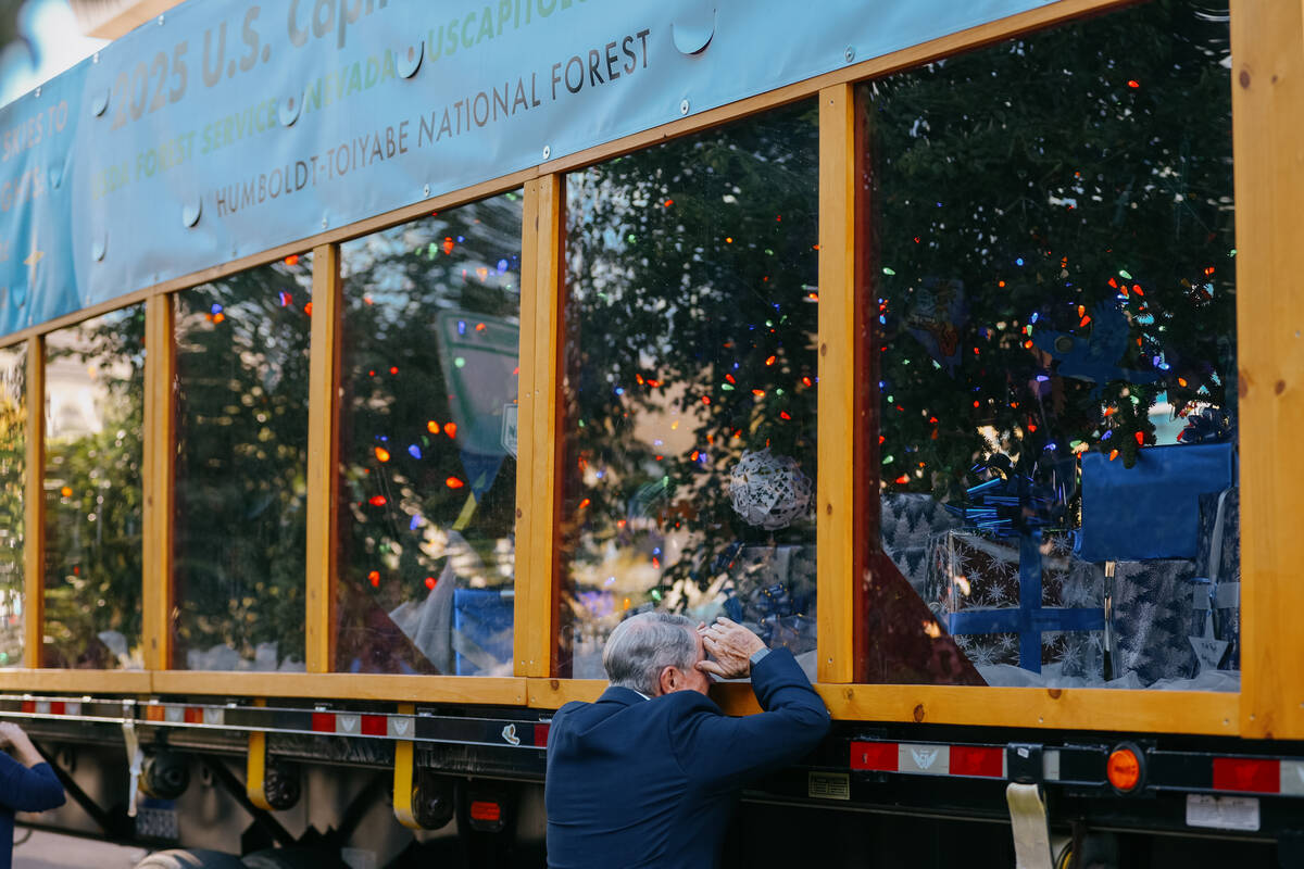 Las Vegas city employees visit the U.S. Capitol Christmas tree, nicknamed “Silver Belle,” a ...