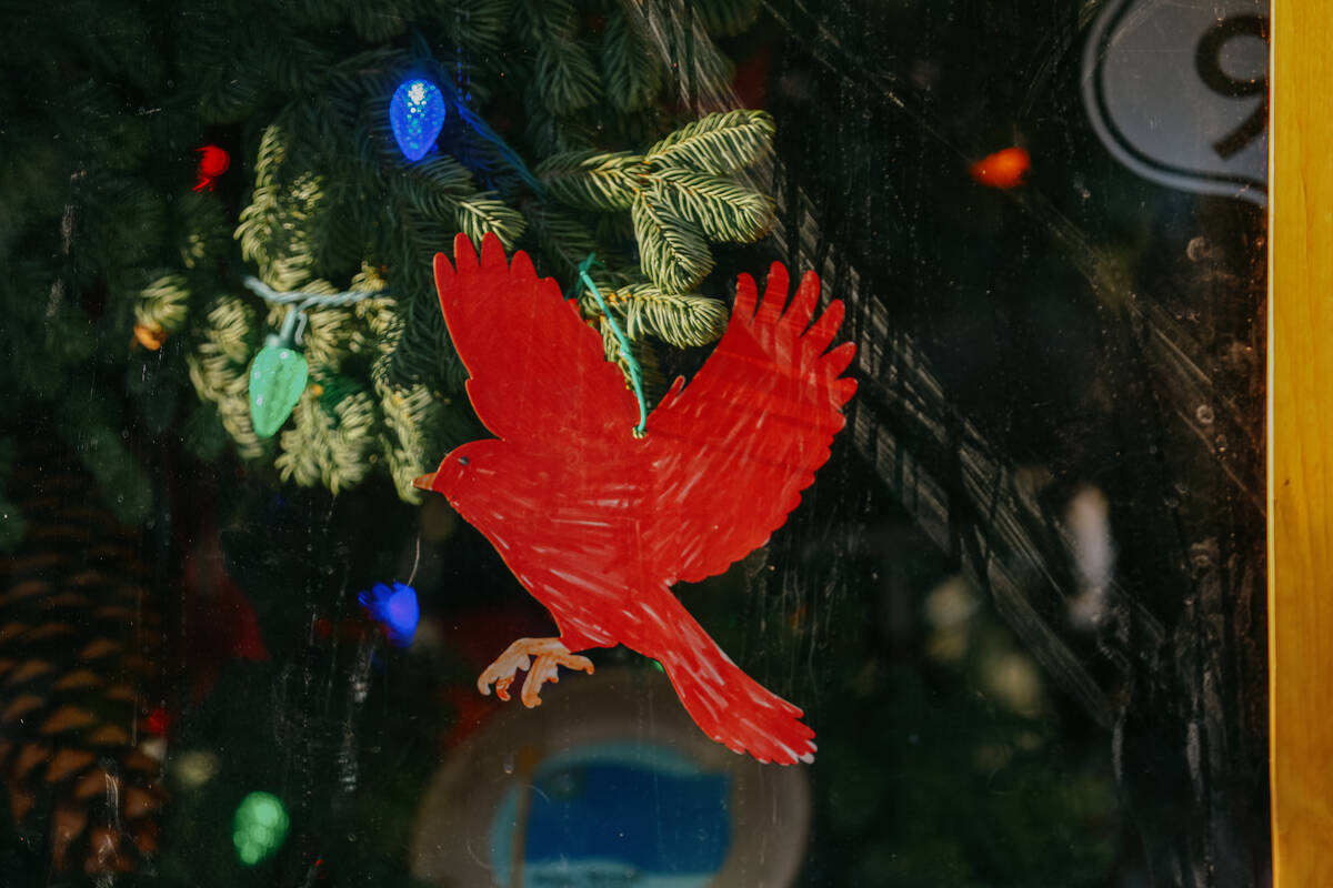 Ornaments adorn the U.S. Capitol Christmas tree, nicknamed “Silver Belle,” as it passes thr ...