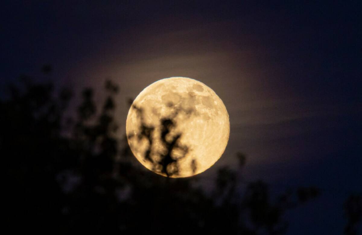 during the second half of a Class 5A girls soccer state semifinal game at Valley High School on ...