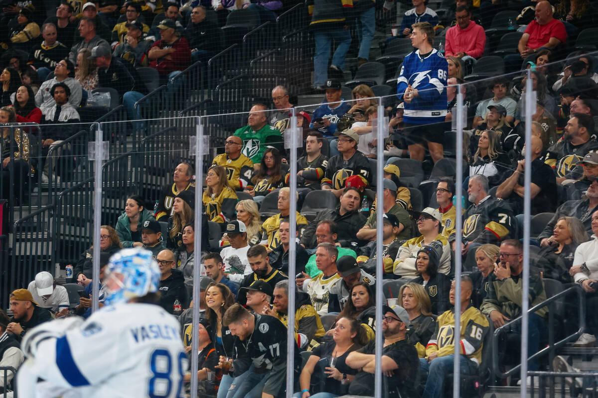 A lone Tampa Bay Lightning fan stands in celebration of the Lightning’s latest goal in t ...