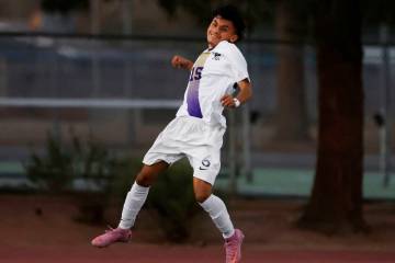Sunrise Mountain striker Victor Requenez-Cisneros (15) celebrates his goal during a high school ...