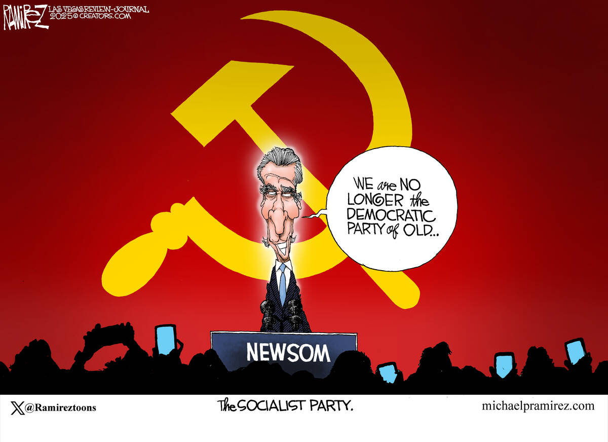 The new Democratic Party.