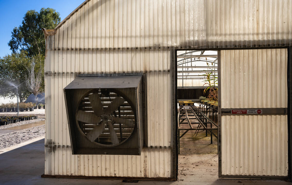A variety of native and adapted Mojave Desert plants grow inside greenhouses at the Las Vegas S ...