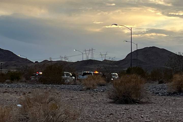 Multiple people were arrested in Henderson on Wednesday after a someone reported being carjacke ...