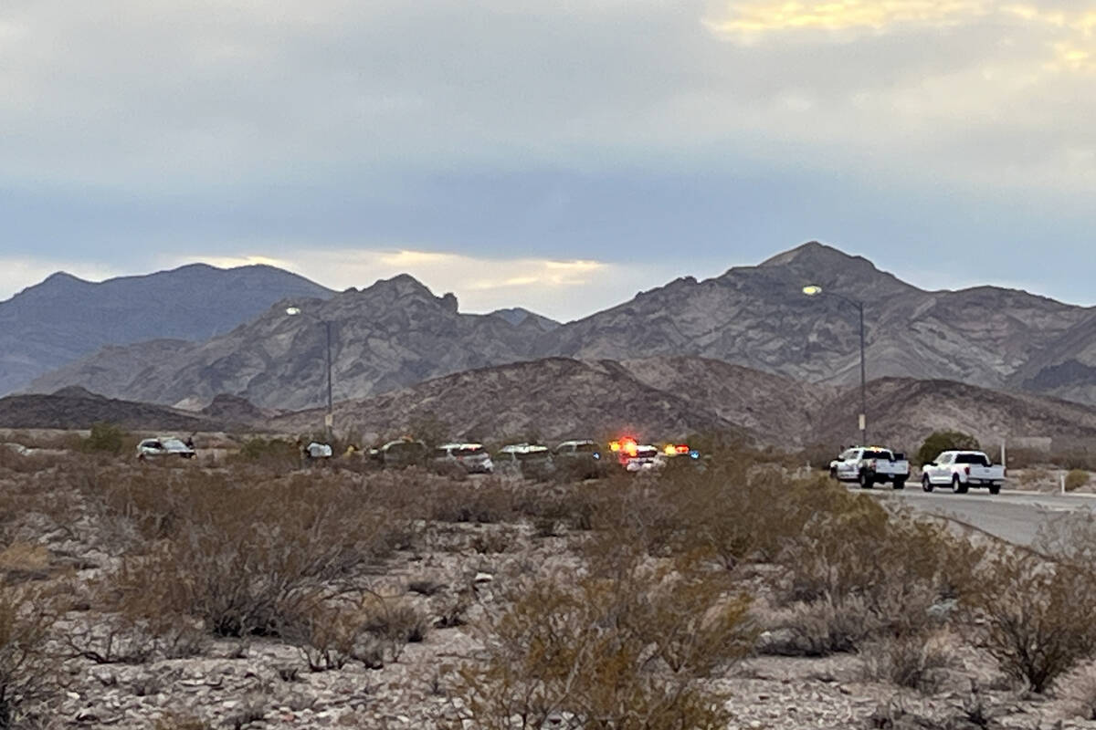 Multiple people were arrested in Henderson on Wednesday after a someone reported being carjacke ...