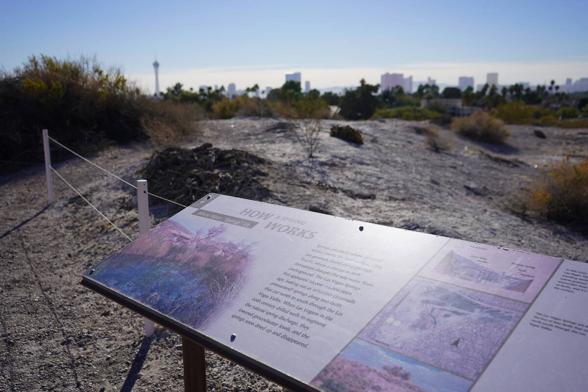 The historic spring mound at Springs Preserve no longer spouts water, but visitors can read all ...