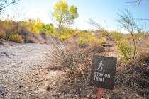 There are two spots at the Springs Preserve to get on and off the gravel Cienega Trail, which l ...