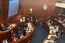 Sen. Roberta Lang, D-Las Vegas, addresses the Nevada Senate in opposition of the film tax bill ...