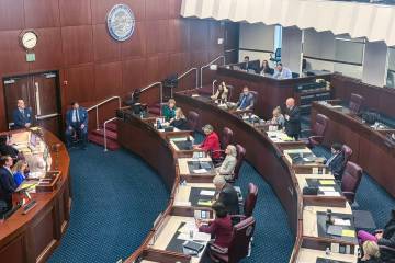 Nevada Sen. Ira Hansen, R-Sparks, addresses the state Senate during the special legislative ses ...