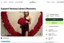A GoFundMe page for Vanessa Lainez, whom police reported was in critical condition after a 12-v ...