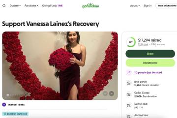 A GoFundMe page for Vanessa Lainez, whom police reported was in critical condition after a 12-v ...