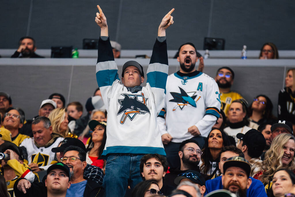 A San Jose Sharks fan celebrates a goal during an NHL hockey game between the Golden Knights an ...