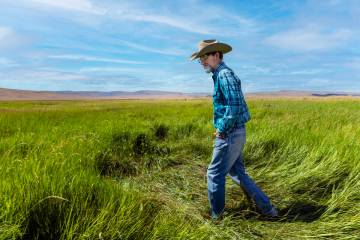 Rancher Ed Bartell walks his range land, inspecting water holes to ensure the water table has n ...