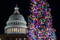 The Capitol Christmas tree, a 53-foot red fir from the Humboldt-Toiyabe National Forest in Neva ...