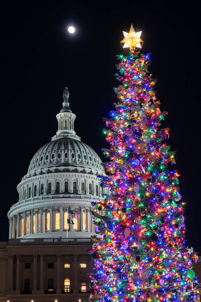 The U.S. Capitol Christmas tree, a 53-foot red fir from the Humboldt-Toiyabe National Forest in ...