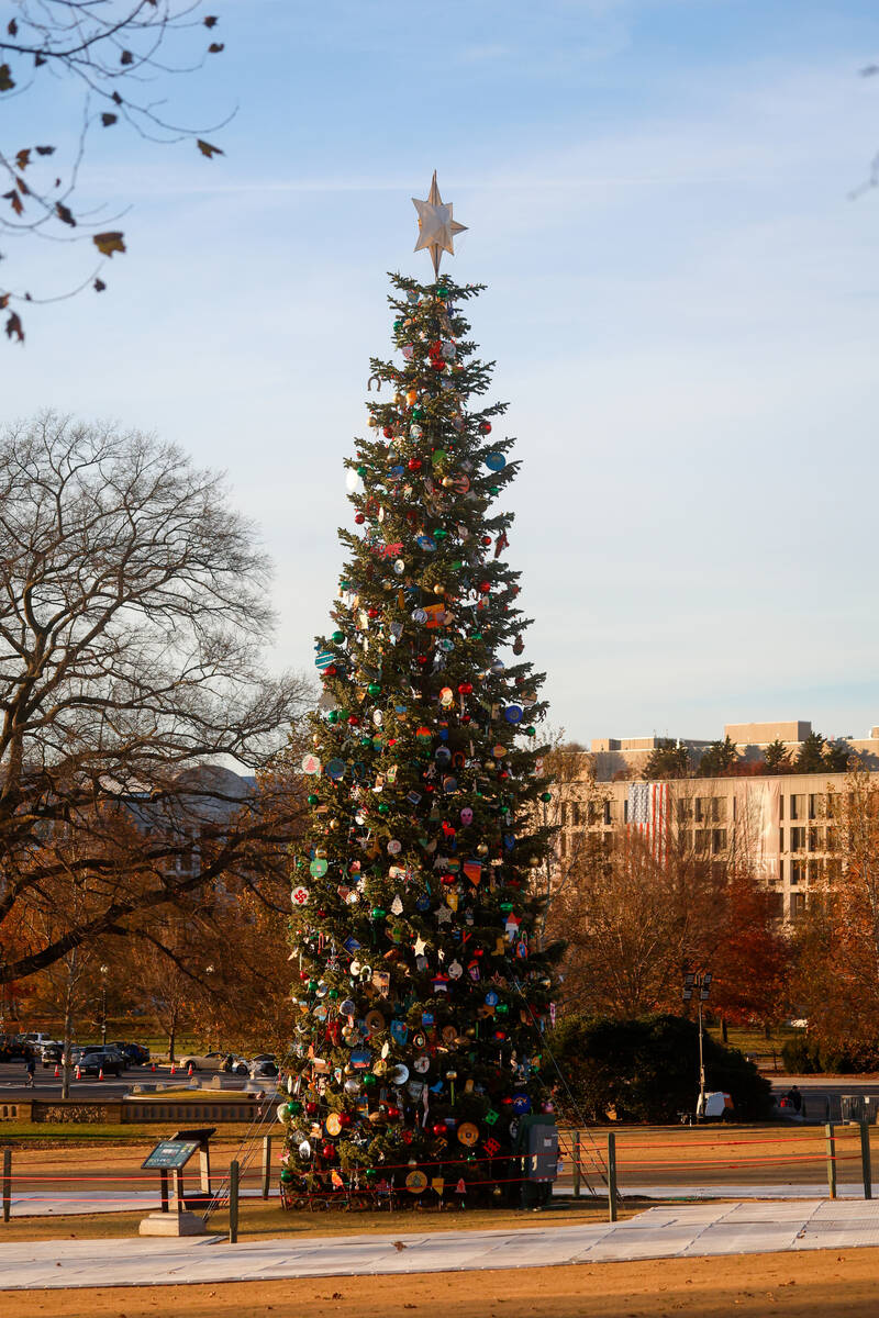 The Capitol Christmas Tree, a red fir from Nevada, is seen on the West Lawn of the U.S. Capitol ...