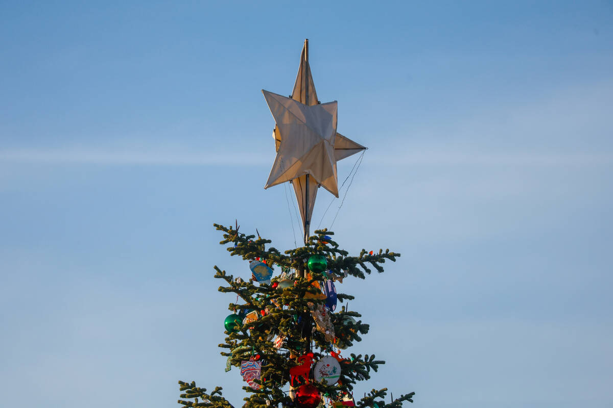 The Capitol Christmas Tree, a red fir from Nevada, is seen on the West Lawn of the U.S. Capitol ...