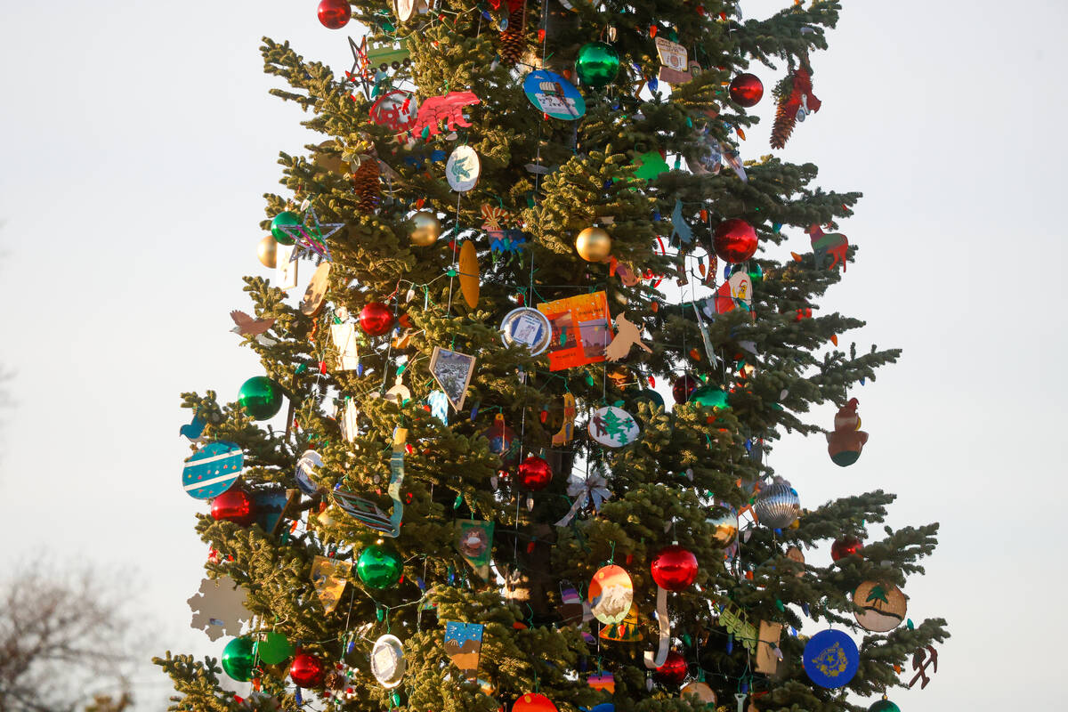 The Capitol Christmas Tree, a red fir from Nevada, is seen on the West Lawn of the U.S. Capitol ...