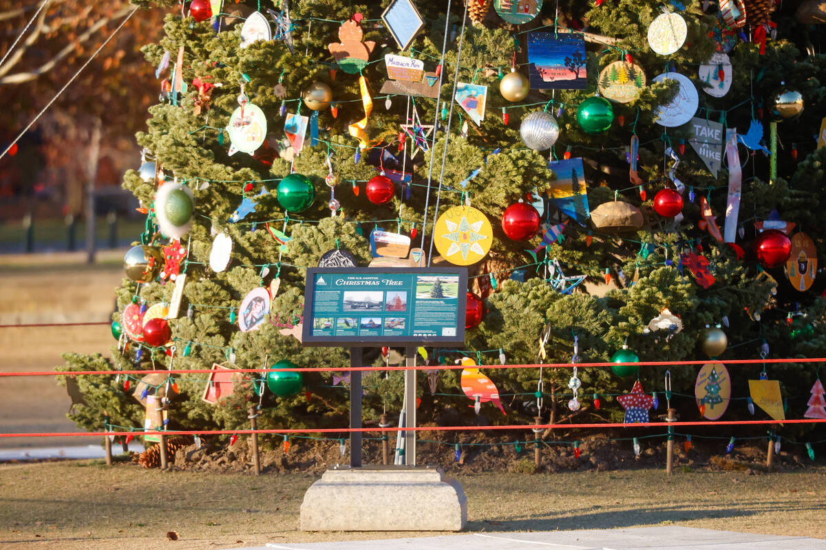 The Capitol Christmas Tree, a red fir from Nevada, is seen on the West Lawn of the U.S. Capitol ...