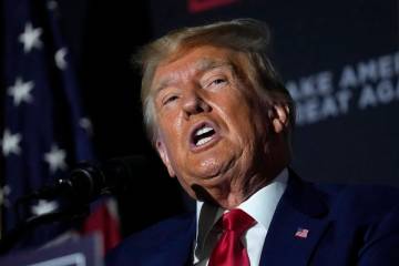 President Donald Trump. (AP Photo/Robert F. Bukaty)