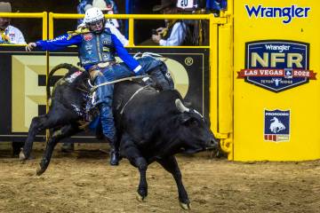 Stetson Wright of Milford, UT., completes another winning ride during Bull Riding in the Nation ...