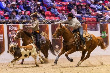 The World Series of Team Roping is a massive event taking place through Dec. 14 at the South Po ...