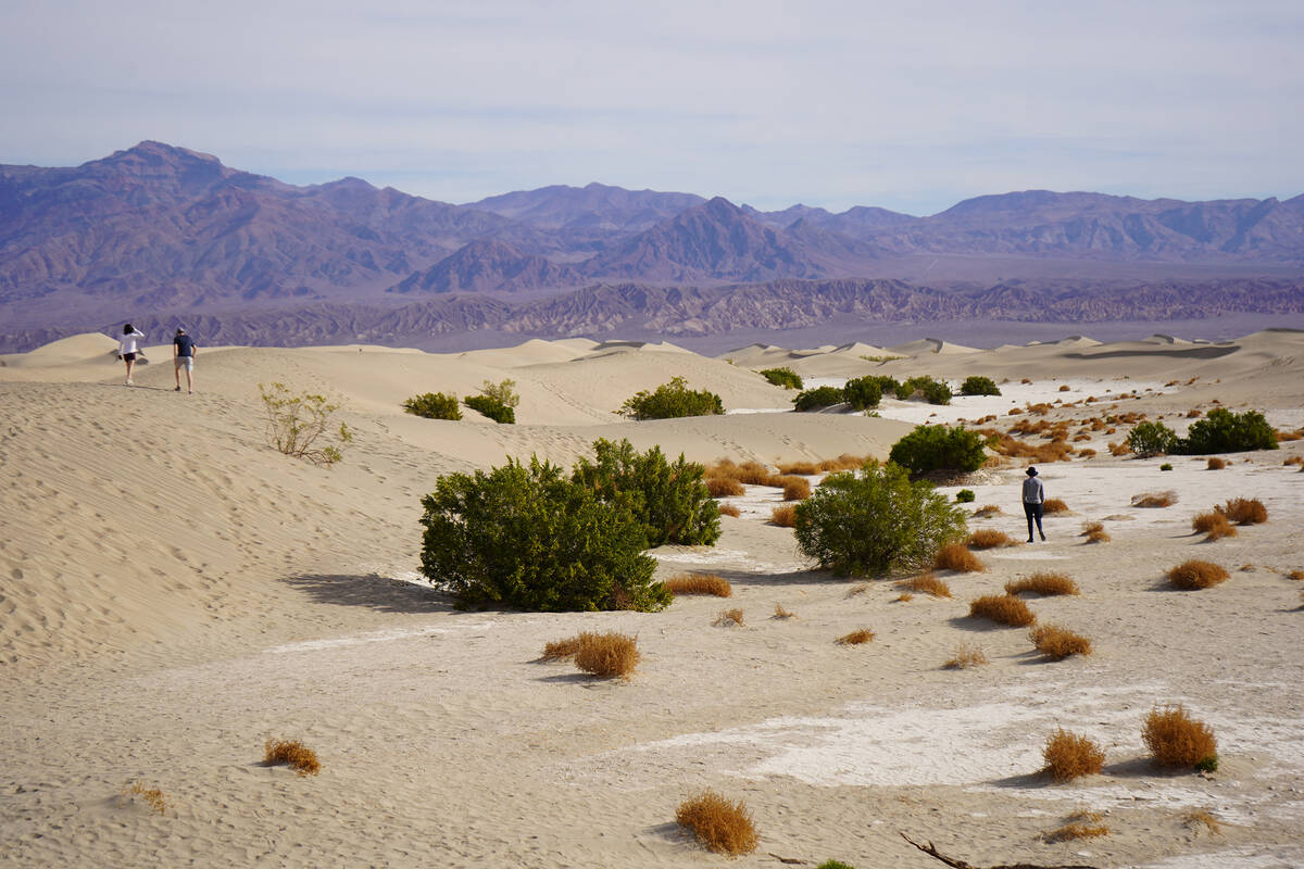There are no official trails at Death Valley’s Mesquite Flats Sand Dunes east of Stovepipe We ...