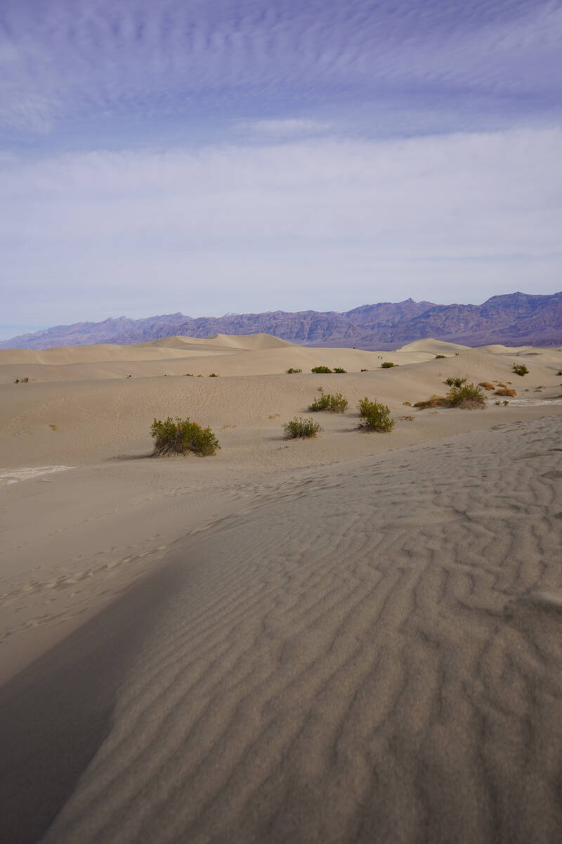 There are no official trails at Death Valley’s Mesquite Flats Sand Dunes east of Stovepi ...
