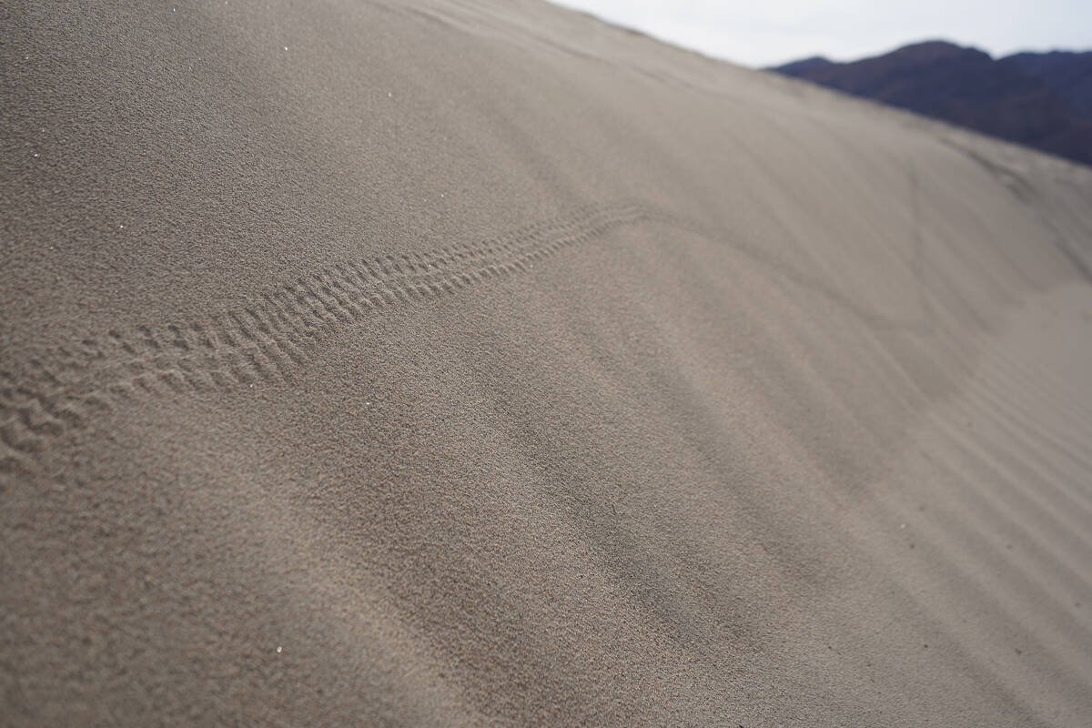 Insect tracks found on sparkling, wind-swept piles of sand at Death Valley’s Mesquite Fl ...