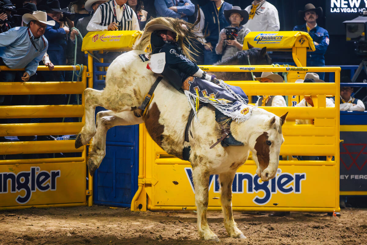 Tilden Hooper gets a tail to the face from Hot Money during the bareback riding portion of day ...