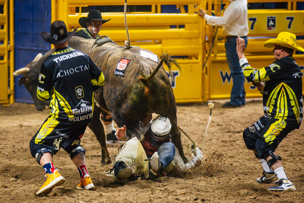 Hudson Bolton gets stepped on by Peanut during day three of the National Finals Rodeo at the Th ...
