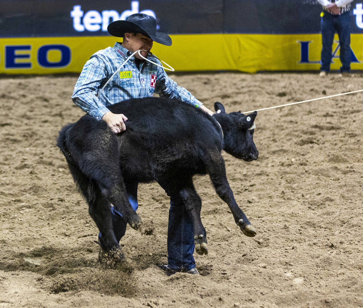 Marty Yates lifts a calf on the way to a tying win in Tie-Down Roping during Day 2 of National ...