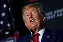 President Donald Trump. (AP Photo/Robert F. Bukaty)