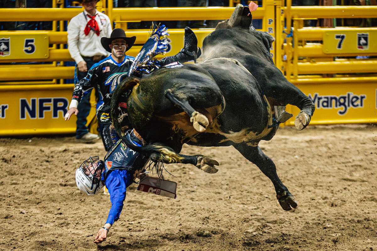 Stetson Wright falls off of Barber Dyson Ford’s Gangster Walk Beutler and Son Rodeo, whi ...