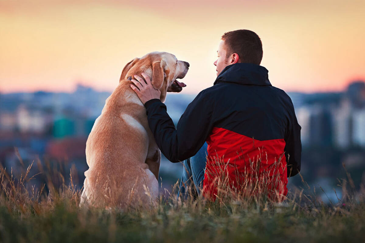 A man and his dog. (AMG-TheStreet)