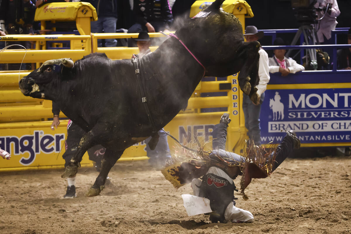 Wacey Schalla gets bucked off from Halo’s Iron Hide while competing in bull riding durin ...