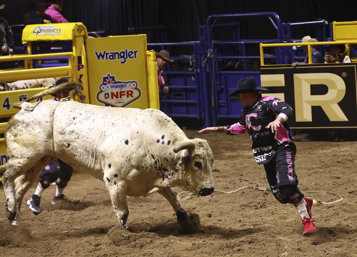 Bullfighter Cody Webster distracts Vitalix Ringling Road during the fifth go-round of the Natio ...