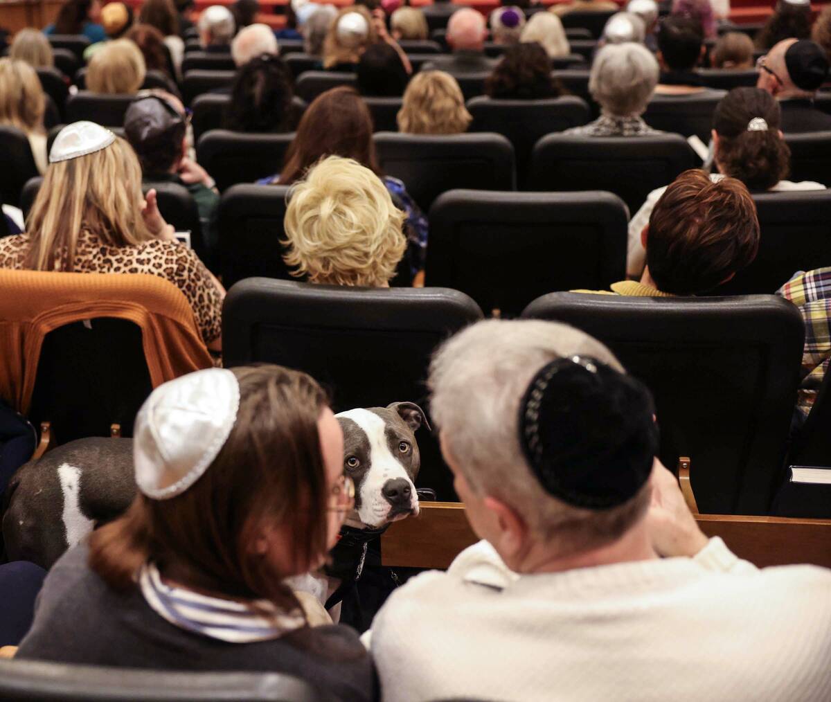 Congregates attend a ceremony to formally install Rabbi-Cantor Jessica Hutchings as Congregatio ...