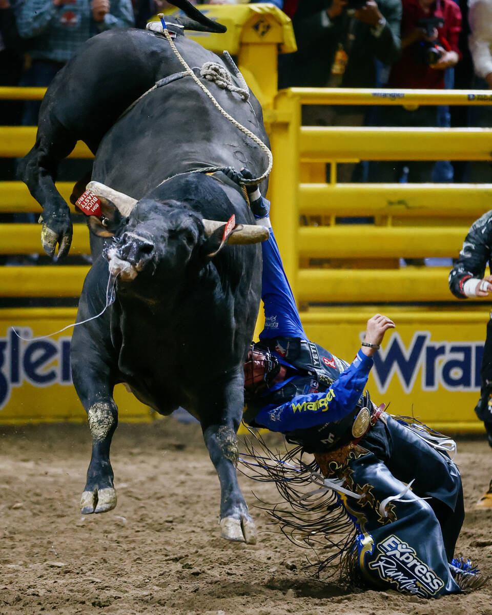 Stetson Dell Wright falls off of Buck Nasty while competing in bull riding during the seventh g ...