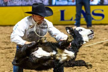 Joel Harris upends his calf on the way to a winning time in Tie-Down Roping during Day 6 of Nat ...