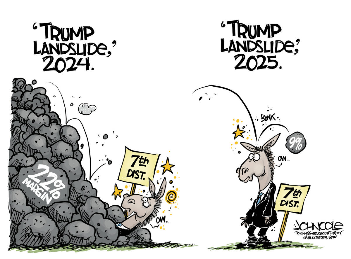 John Cole Tennessee | Lookout