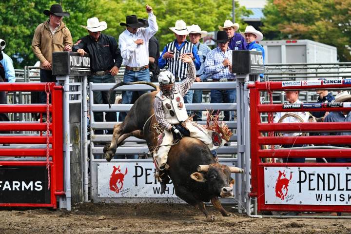 Hayden Welsh, shown aboard a bull at the Puyallup Rodeo, had a banner permit season, winning mo ...