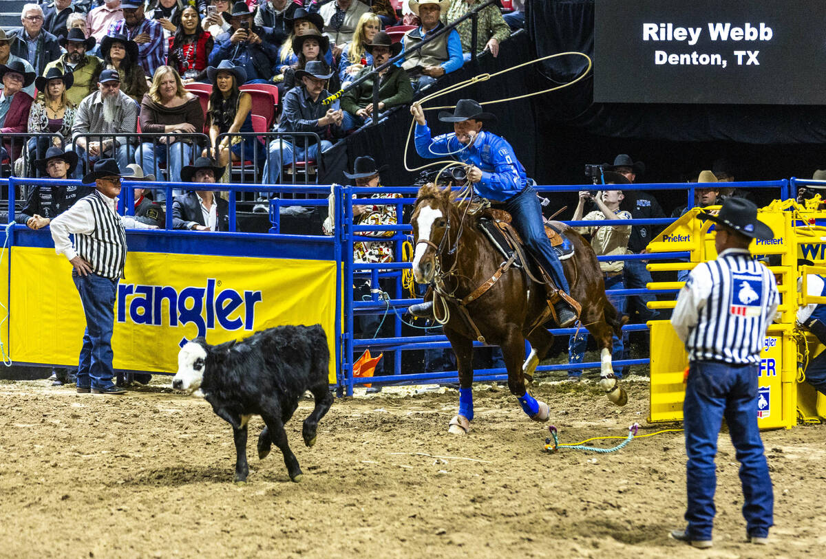 Riley Webb looks to rope his calf for the fastest time in Tie-Down Roping during the 9th go-rou ...