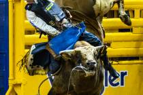 Qynn Andersen rides Mr. Gold to a winning score in Bull Riding during the 9th go-round of Natio ...