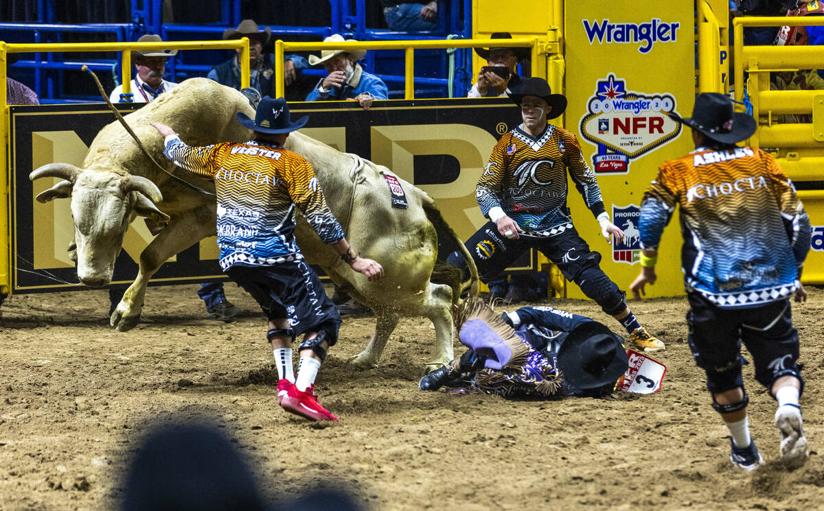 Ky Hamilton crumples to the dirt after a failed ride on Cross Eyed Kelly in Bull Riding during ...