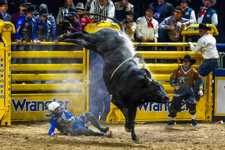Stetson Wright looks up to Belly Dump after a failed time in Bull Riding during the 9th go-ro ...